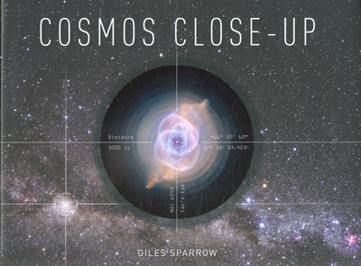 Cosmos Close-Up