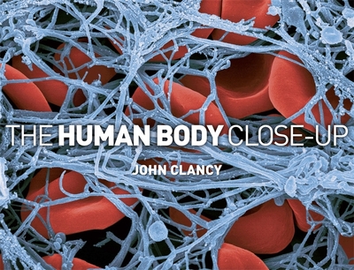 The Human Body Close-Up