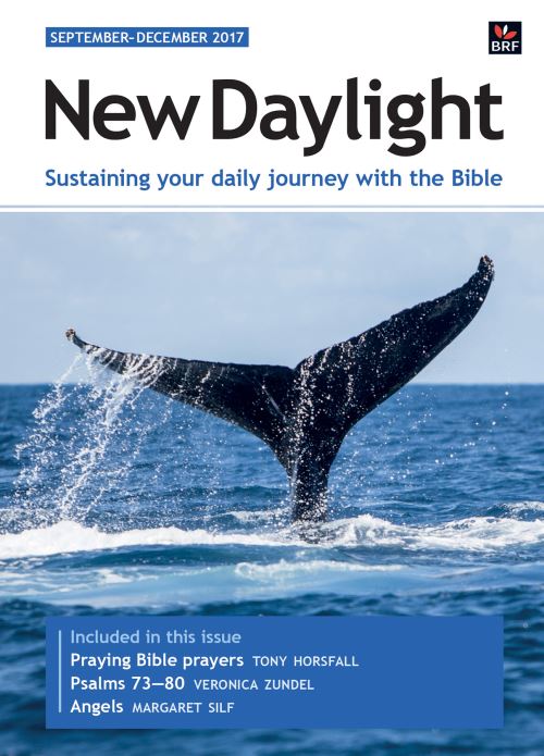 New Daylight September-December 2017