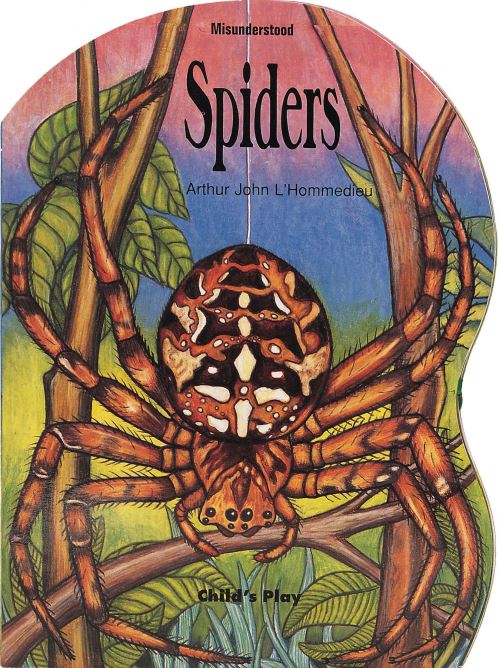 Spiders