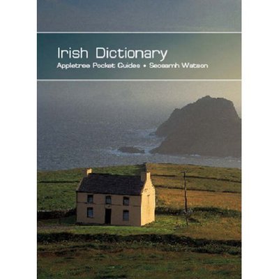 Irish Dictionary
