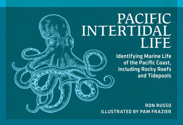 Pacific Intertidal Life