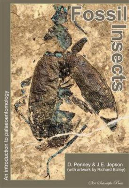 Fossil Insects
