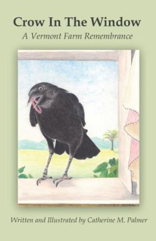 Crow in the Window