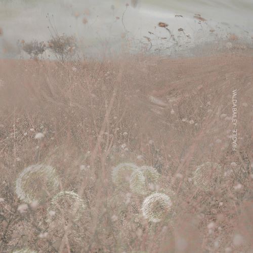 Fragile