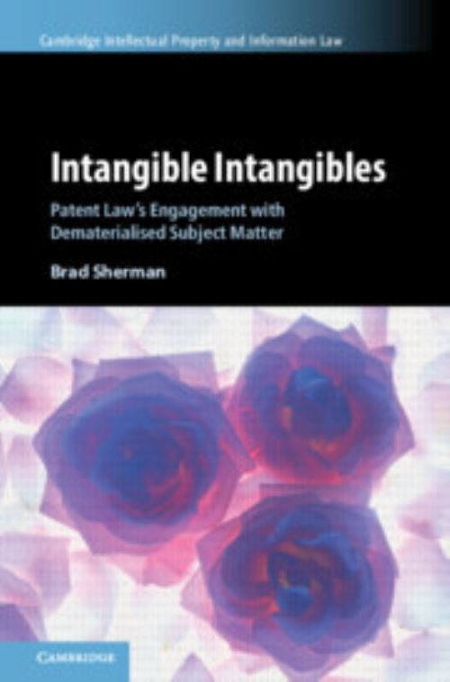 Intangible Intangibles
