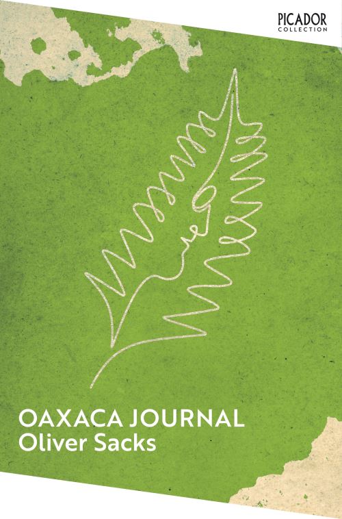 Oaxaca Journal
