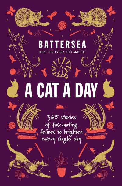 A Cat a Day