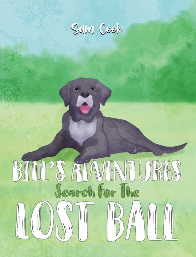 Bill's Adventures