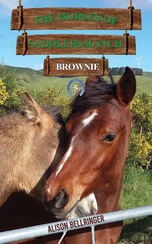 Brownie
