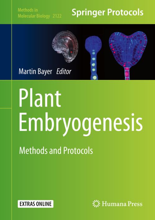 Plant Embryogenesis