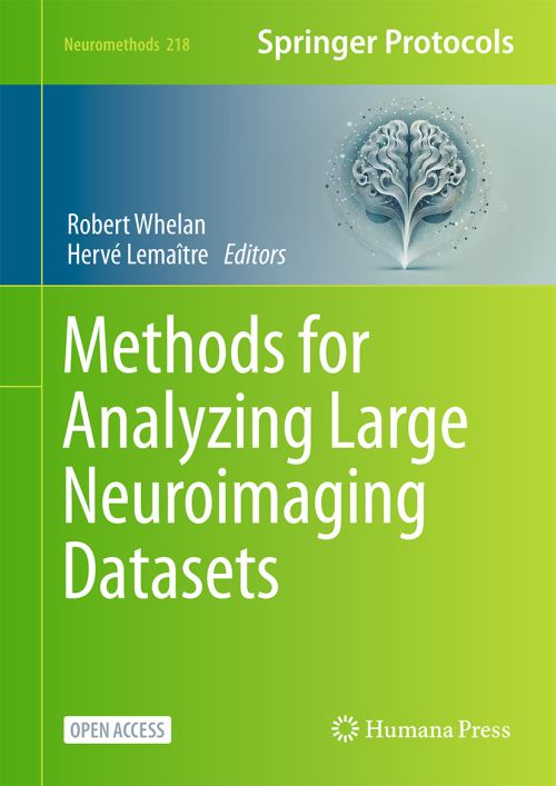Methods for Analyzing Large Neuroimaging Datasets