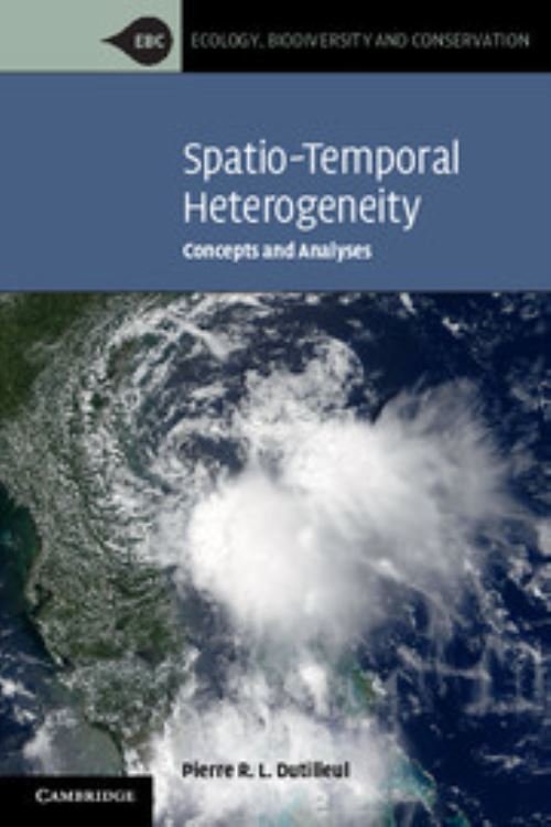 Spatio-Temporal Heterogeneity