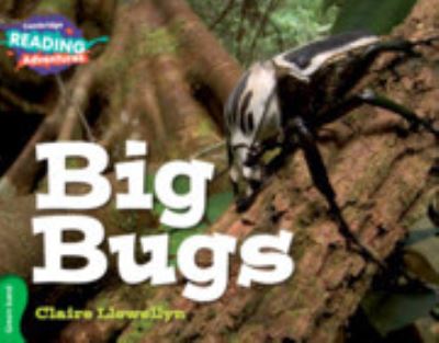 Big Bugs