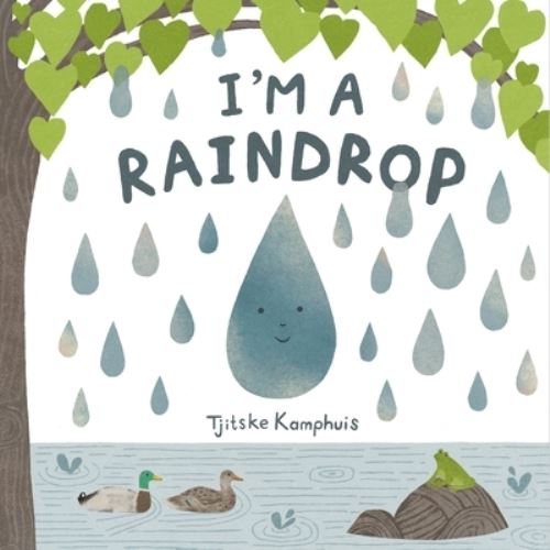 I'm a Raindrop
