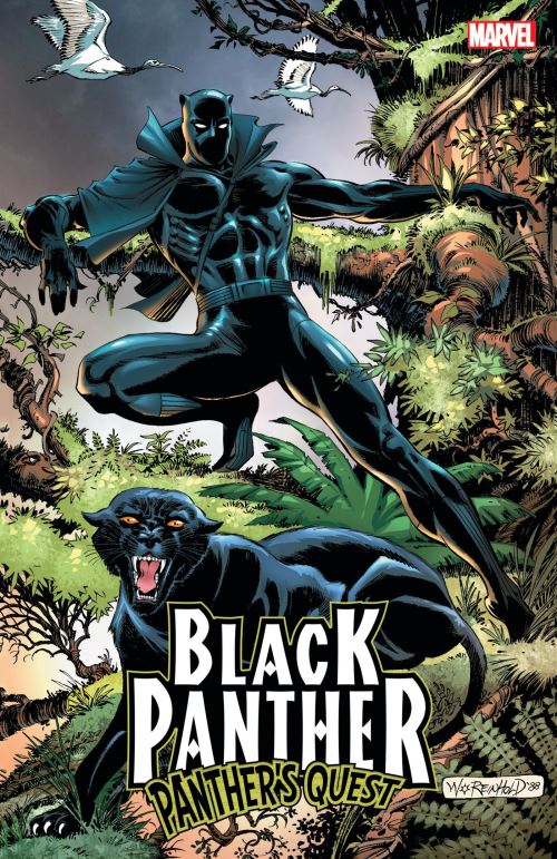 Panther's Quest