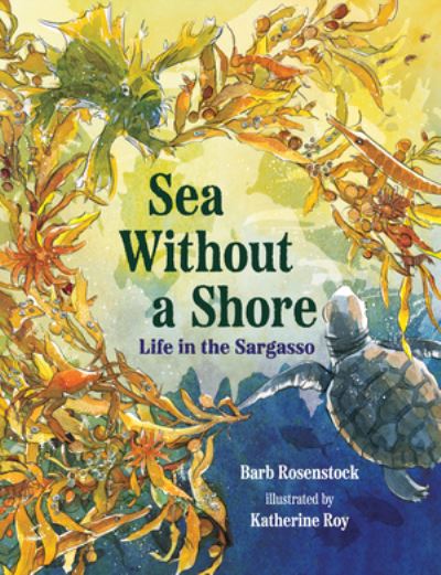 Sea Without a Shore