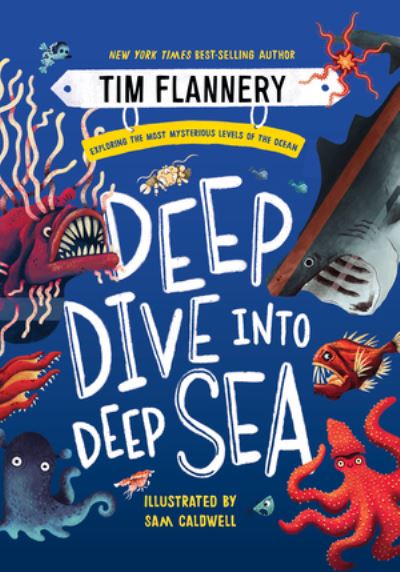 Deep Dive Into Deep Sea