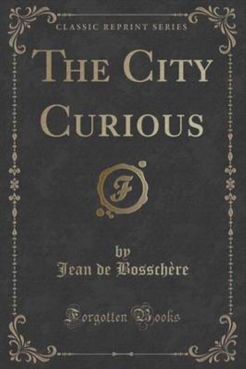 The City Curious (Classic Reprint)