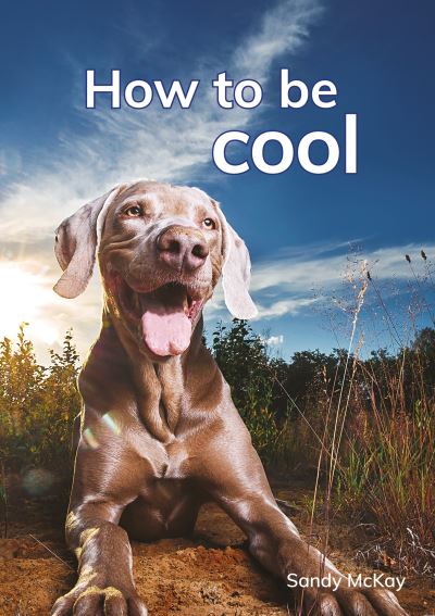 How to Be Cool