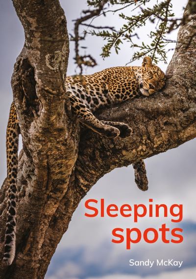 Sleeping Spots