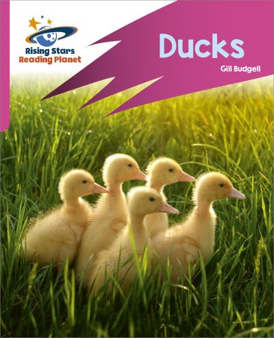 Ducks