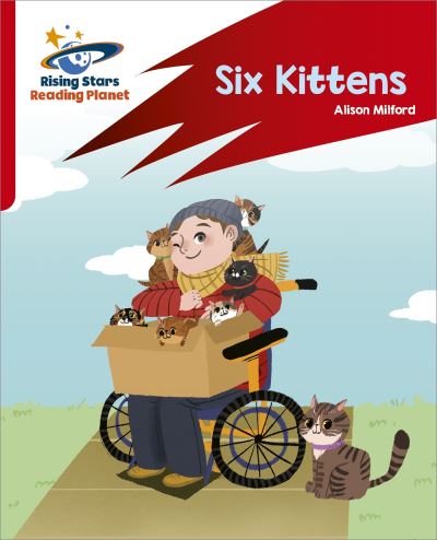 Six Kittens