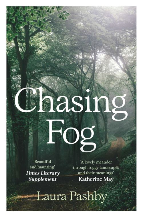 Chasing Fog