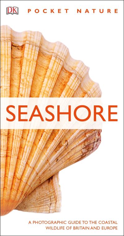 Seashore