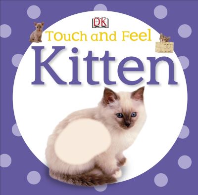 Kitten