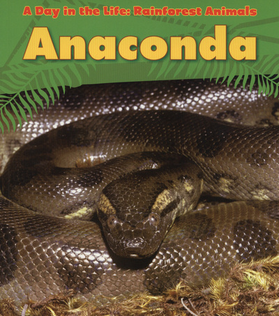 Anaconda