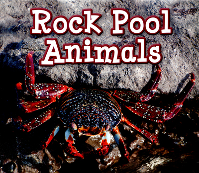 Rock Pool Animals