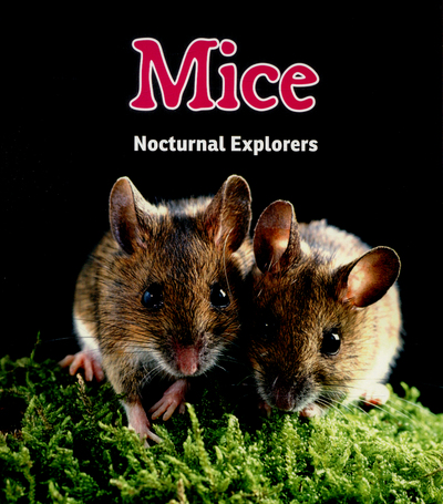 Mice