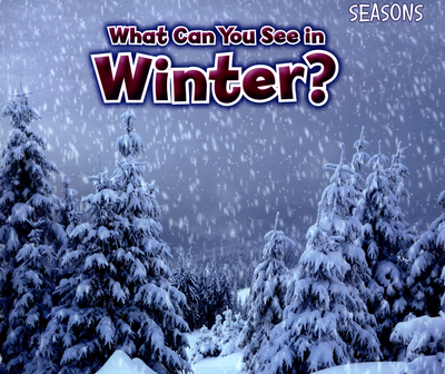 What Can You See in Winter?