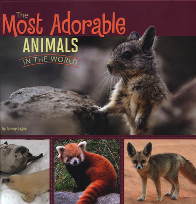 The Most Adorable Animals in the World