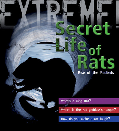 Secret Life of Rats