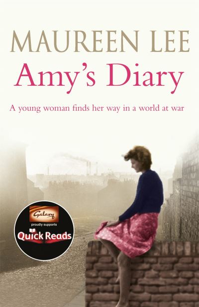 Amy's Diary (Quick Reads)