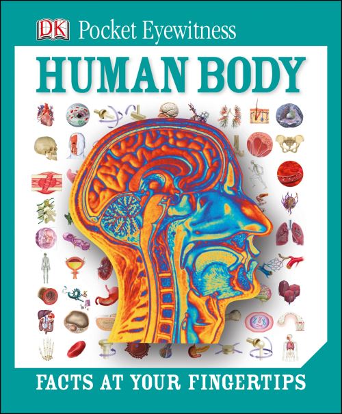 Human Body
