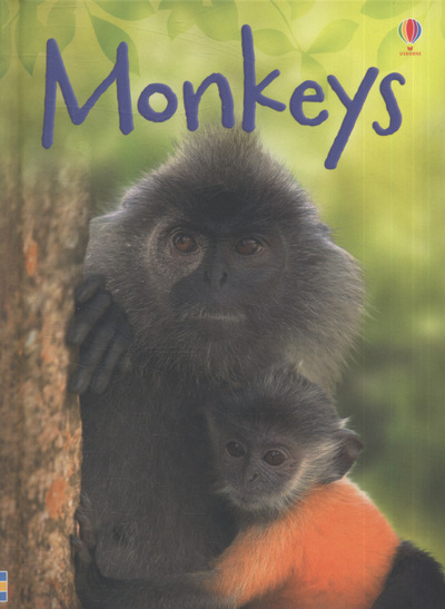 Monkeys