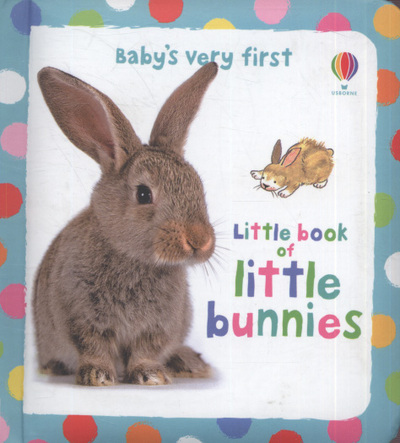 Baby's Very First Little Book of Little Bunnies