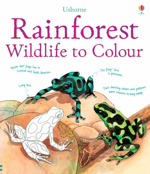 Rainforest Wildlife to Colour