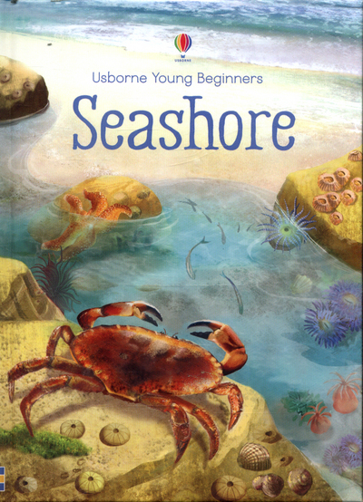 Seashore