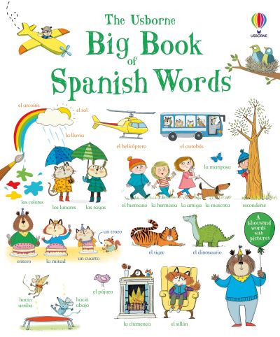 The Usborne Big Book of Spanish Words