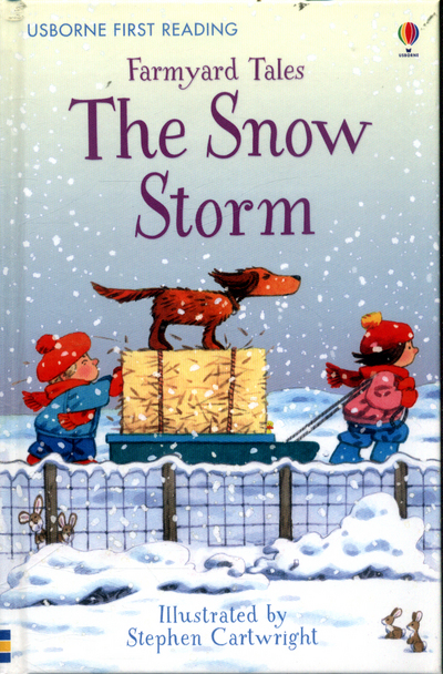 The Snow Storm