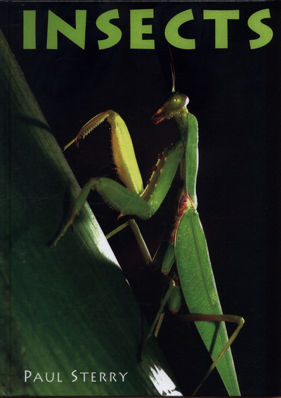 Insects