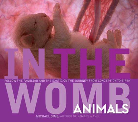 In the Womb