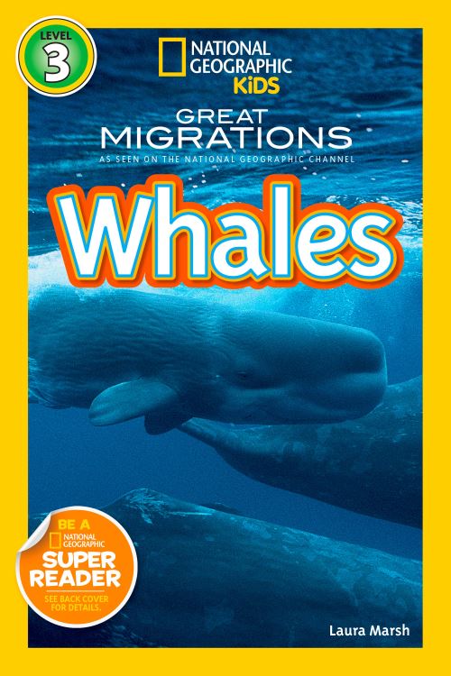 Great Migrations. Whales