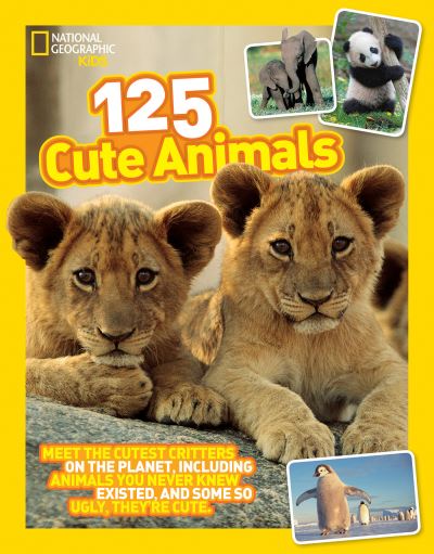 Cutest Animals