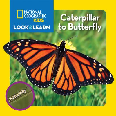 Caterpillar to Butterfly / Text by Catherine D. Hughes