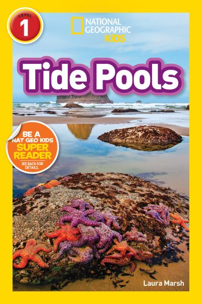 Tide Pools
